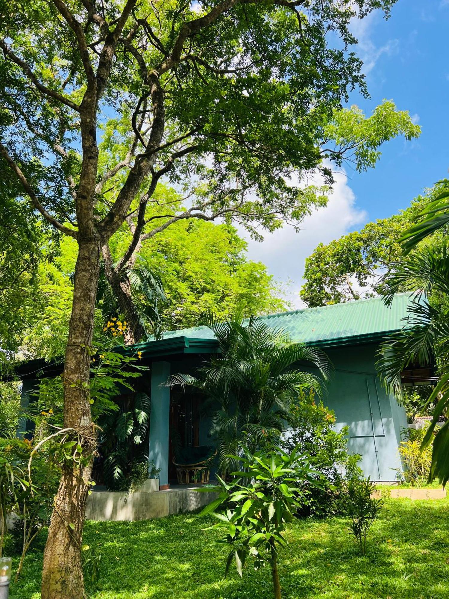 Maritime Nest Cabanas Tangalle Eksteriør billede